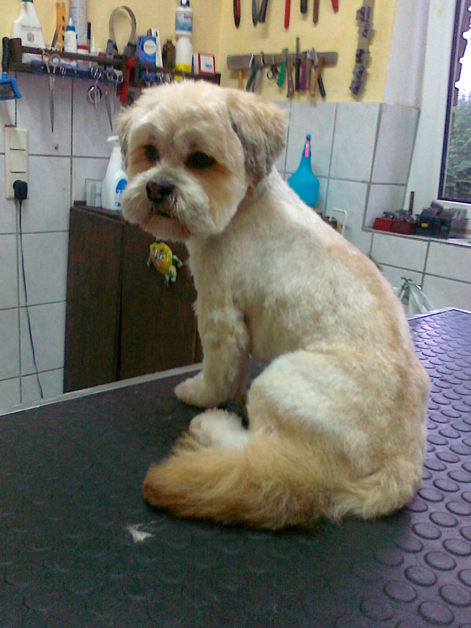 Salon 023